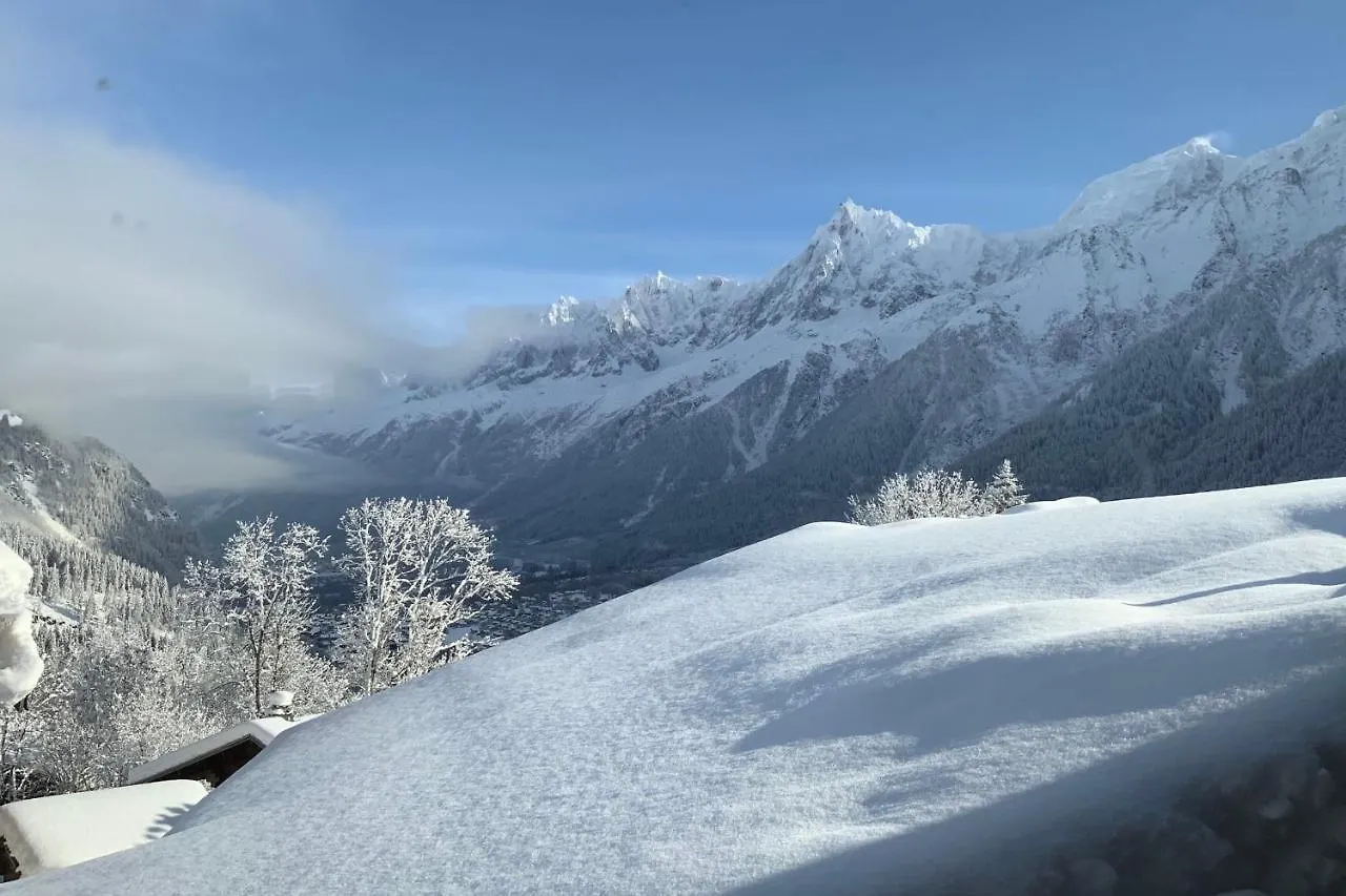 Large Flat At The Foot Of The Slopes Les Houches Apartment