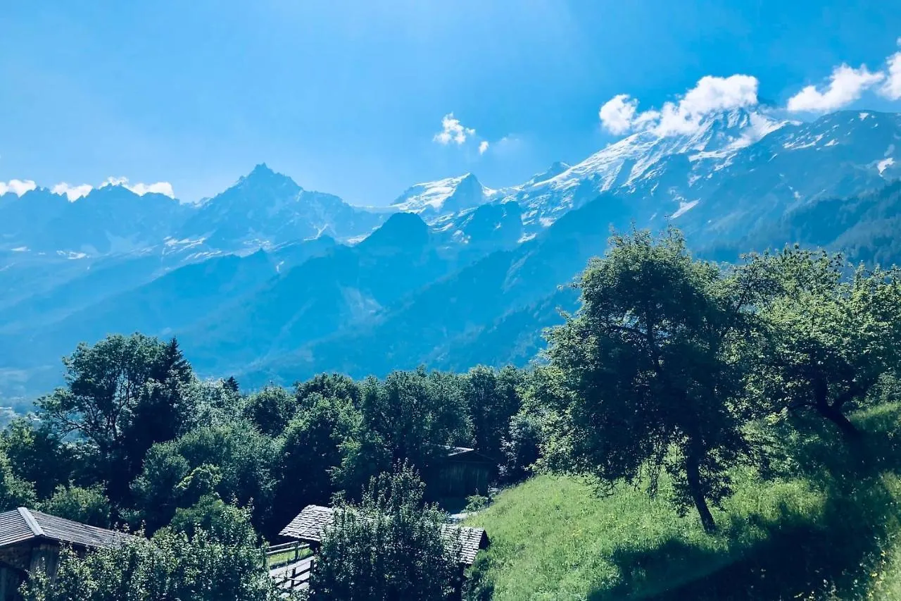 Large Flat At The Foot Of The Slopes Les Houches Apartment France